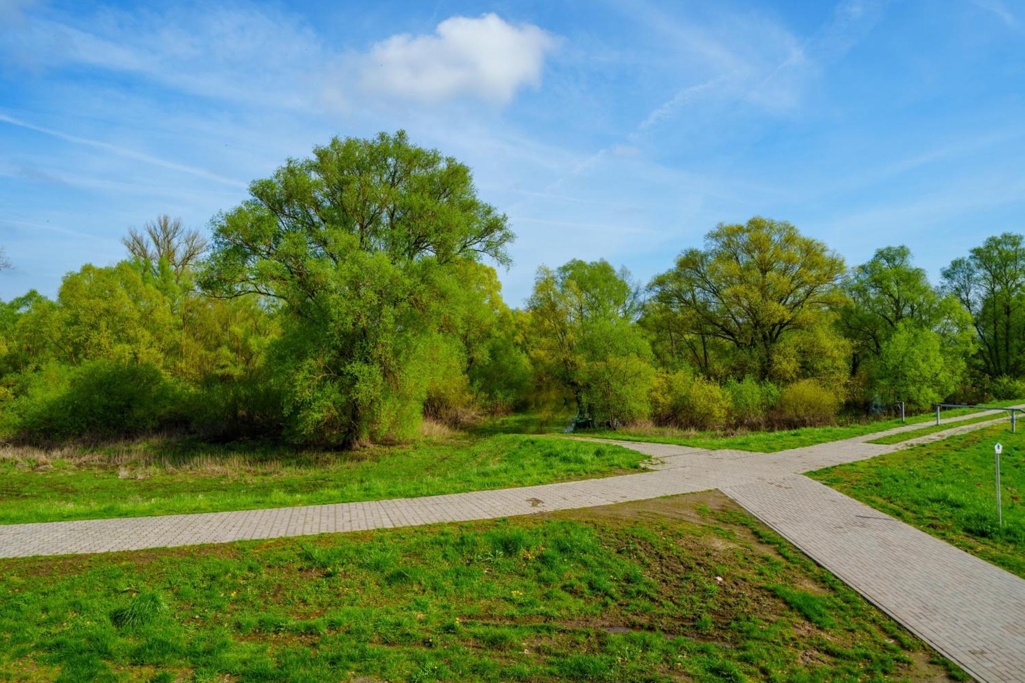 Alandblick Wanzer